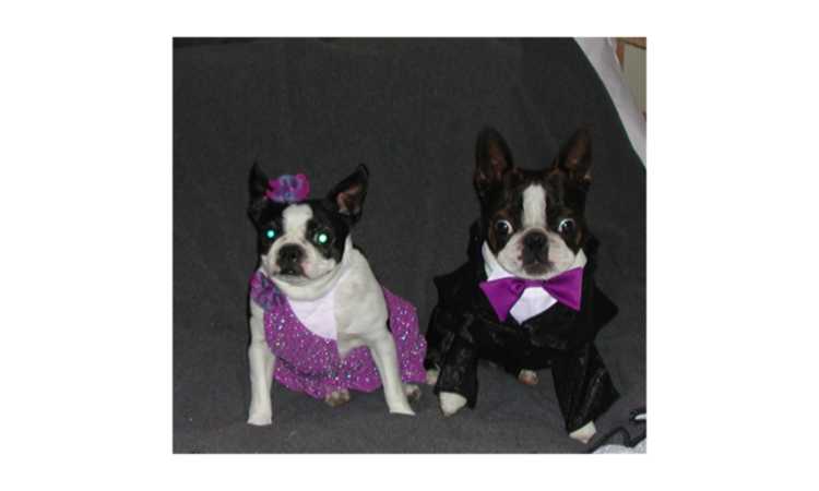 Jack and Annie's formal wear