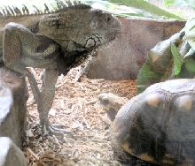 You Lookin at me?