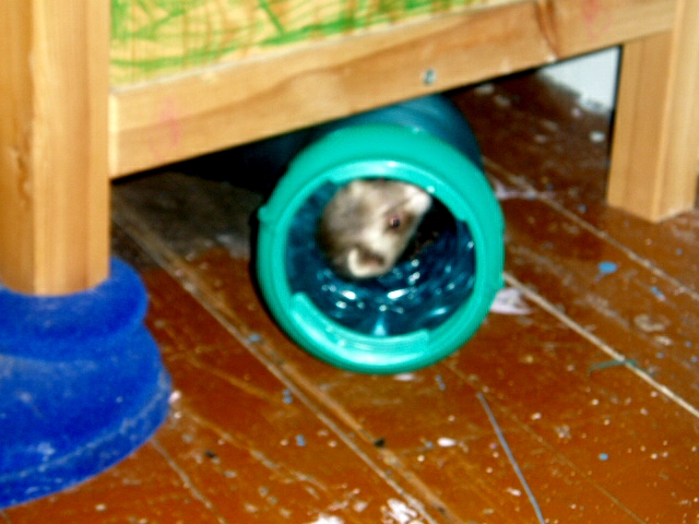 MJ peeks from the tube