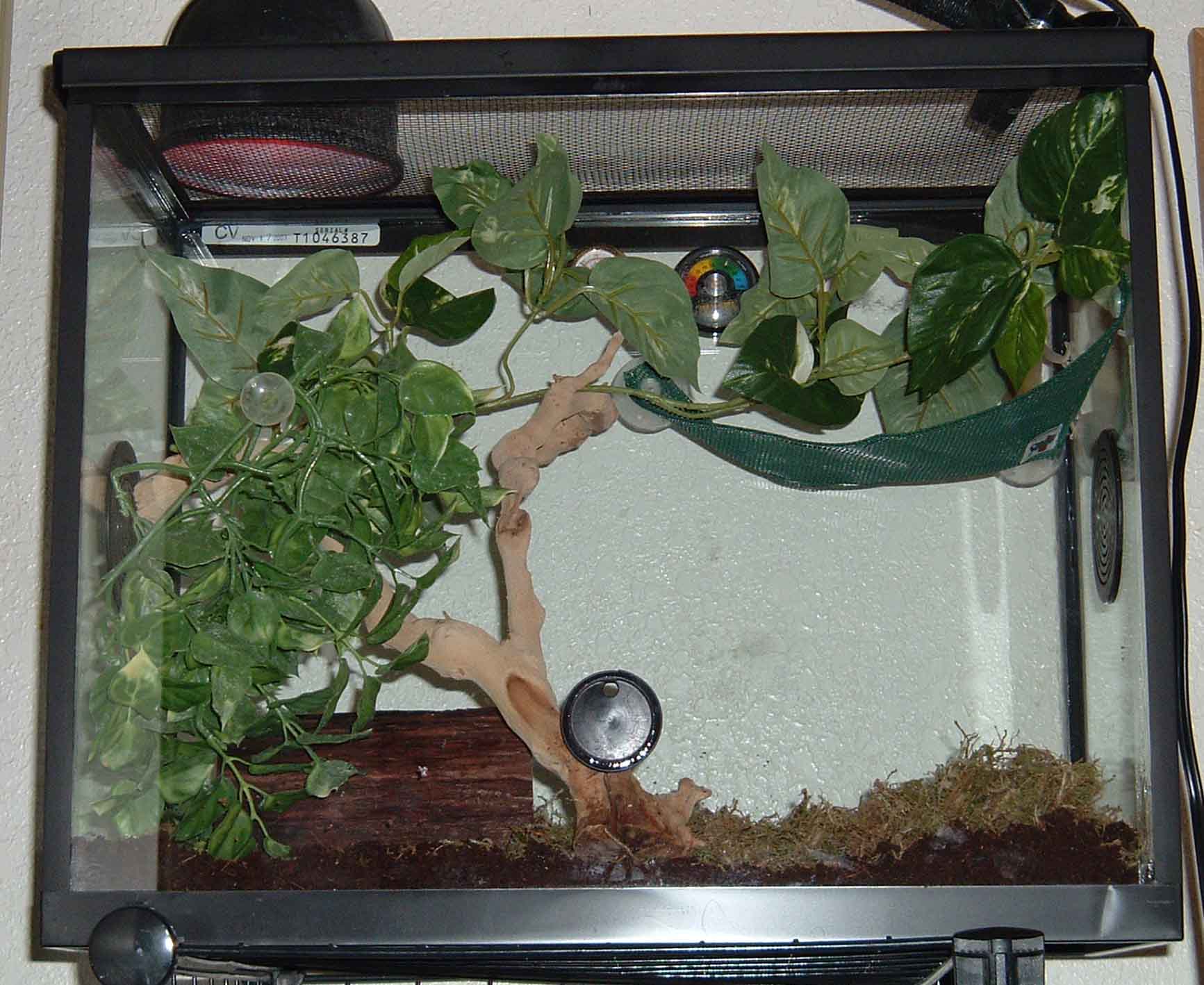 New Cage