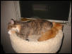 Mol&Zig_shared perch