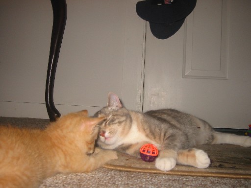 M&Z lovey