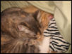 Mol&Zig_sleeping buddies