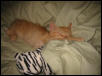 My cute Ziggy