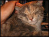 Loving Molly