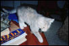 Molly done studying