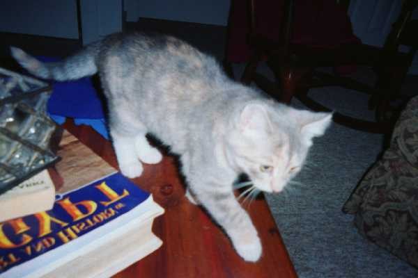 Molly done studying