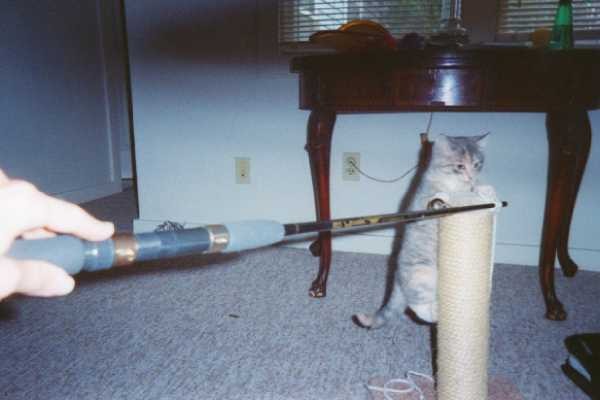 Molly little and playing