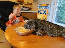 breakfast