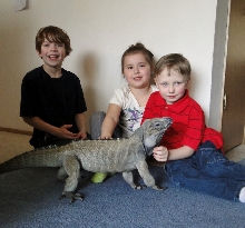Buddy, Logan and his friends