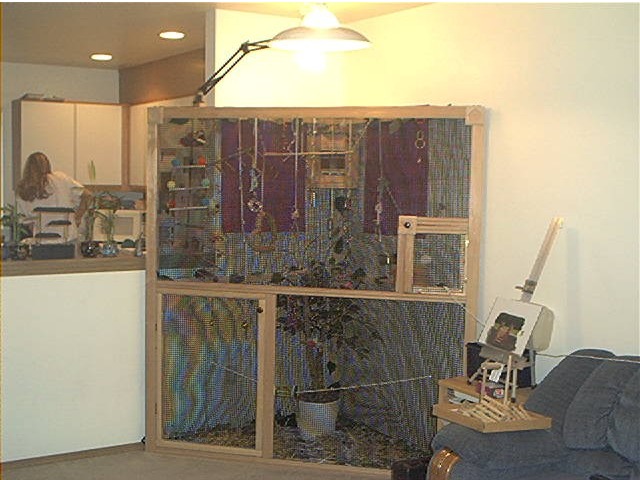 My birds palace