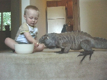 logan and buddy