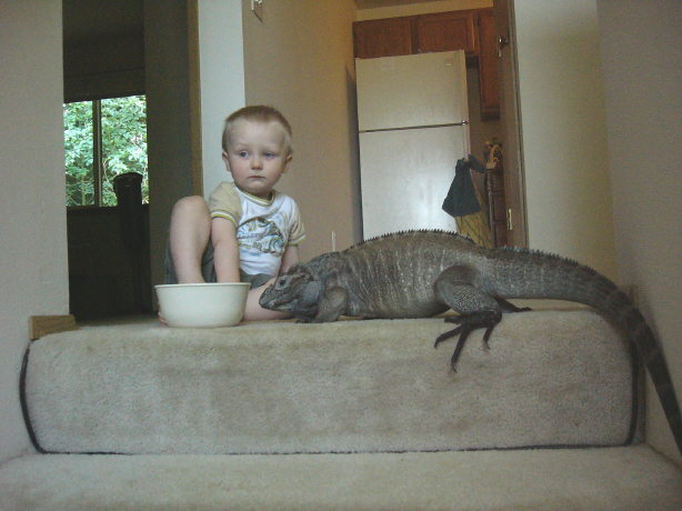 logan and buddy