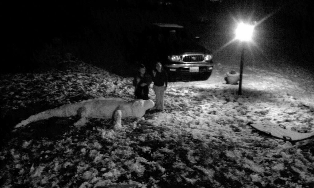 snow iguana