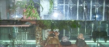 Side view of my tank
