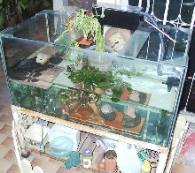 Isometric view of my tank