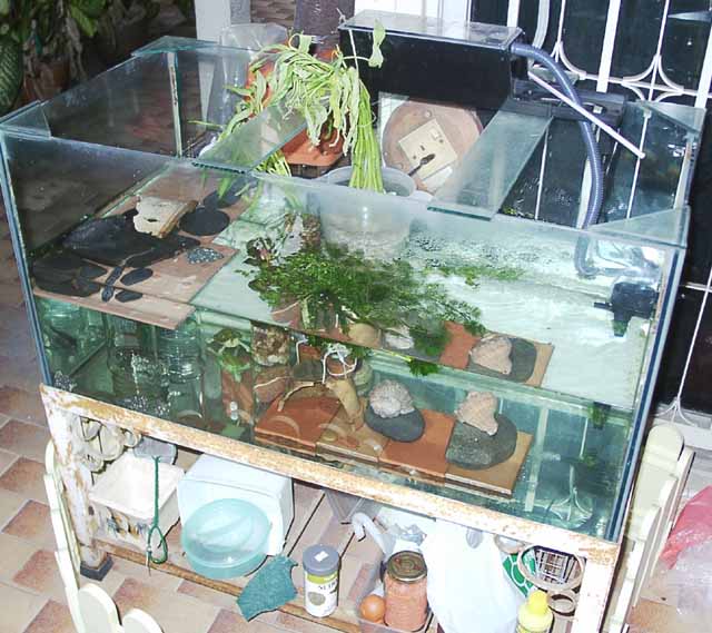 Isometric view of my tank