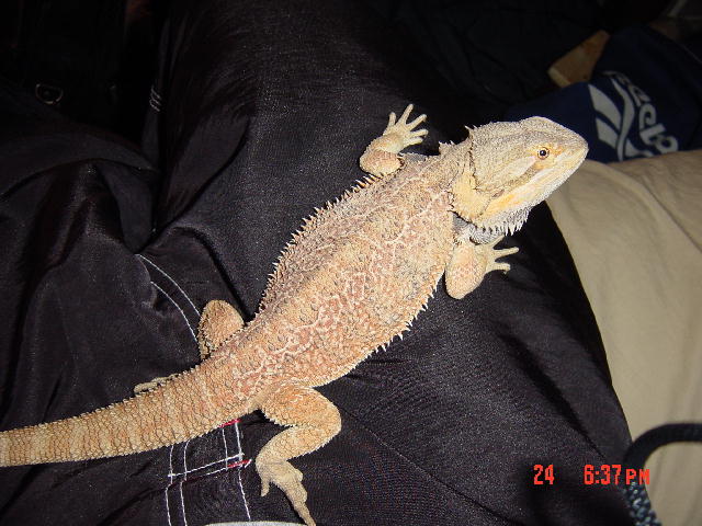 Hanging Out