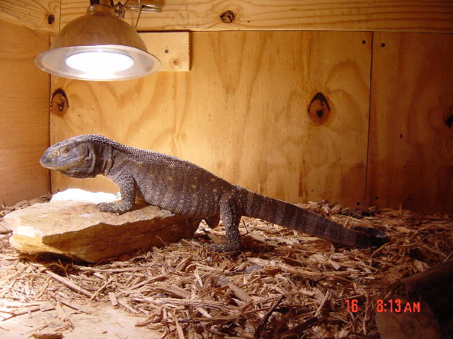 Basking Away