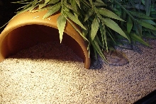 Sleepy?