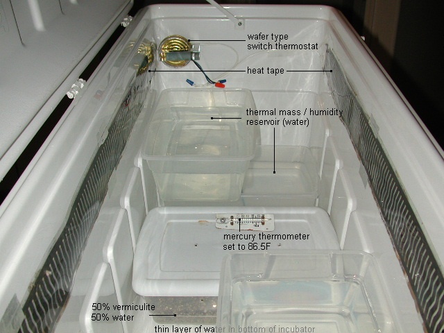 Incubator interior