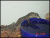 My New Water Monitor
