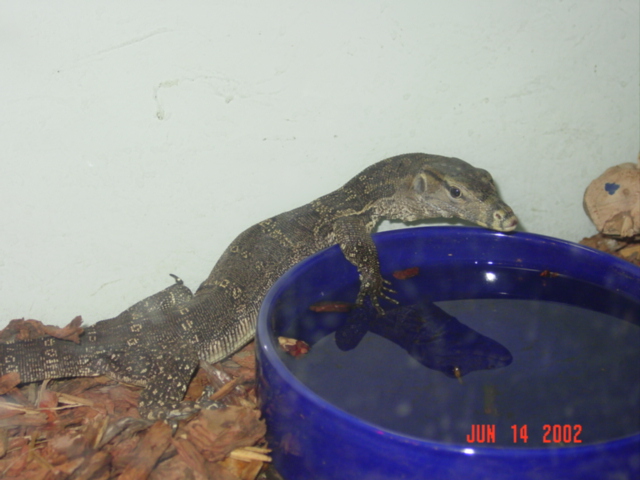 My New Water Monitor