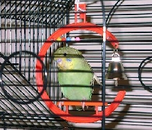 Beaker