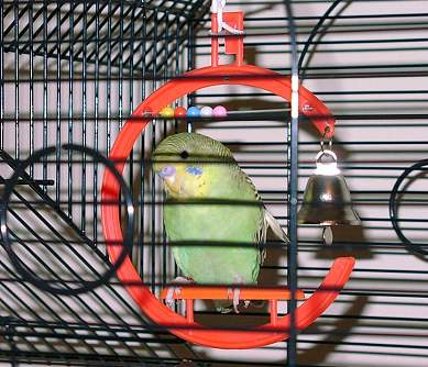 Beaker