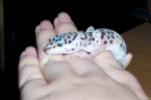 Quin on my hand