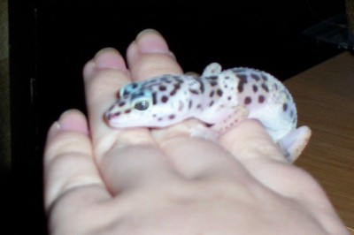 Quin on my hand