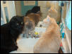 Time to have a drink
