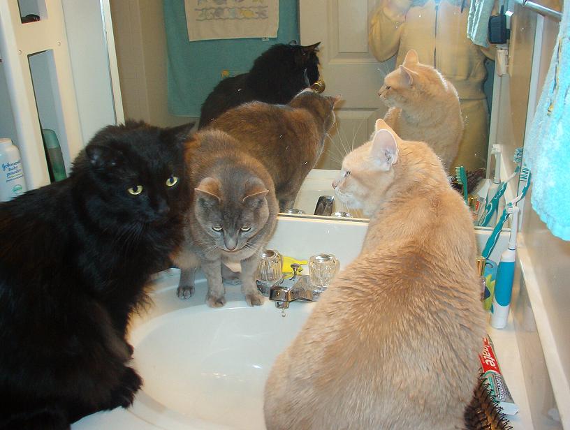 Time to have a drink