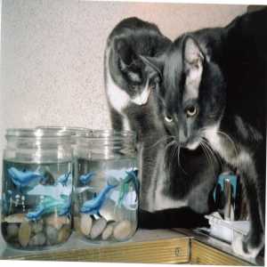 Sterling, Jr. & Betta's