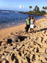 Hawaii turtle beach