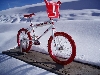 Redline Proline
