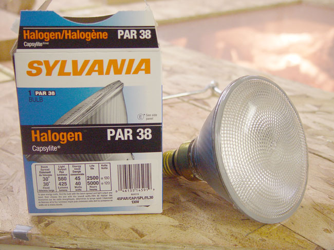 45 watt halogen flood for lizards