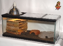 simple setup Retes stacks