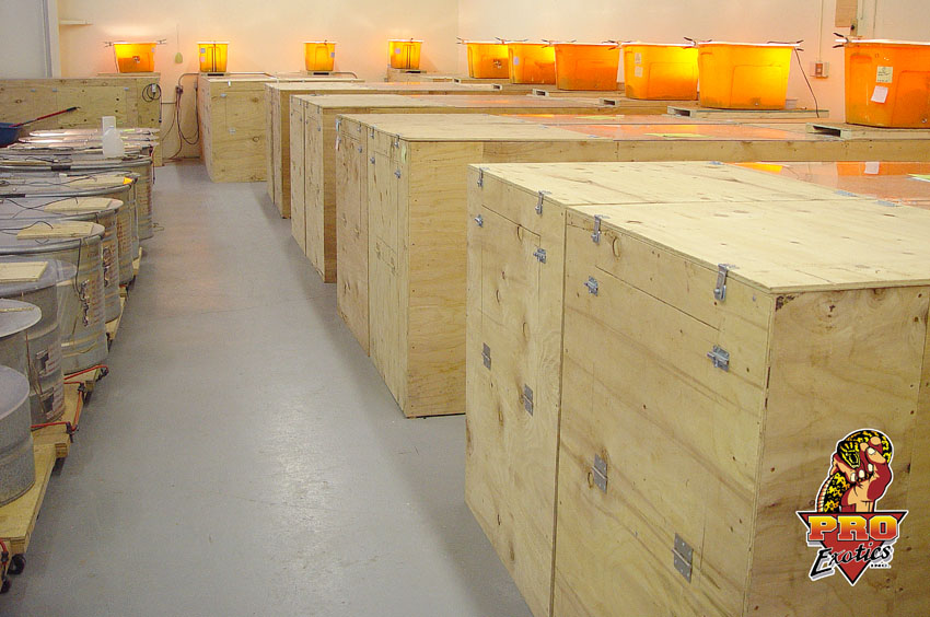 PE monitor troughs