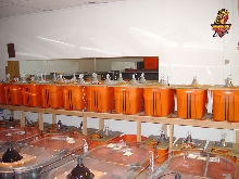 Coxi setups