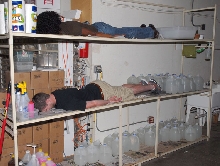 plank