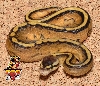 Pastel Stripe ball