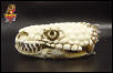 Beaded skull