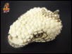 Beaded skull