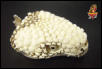 Beaded skull