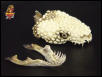 Beaded skull
