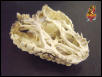 Beaded skull