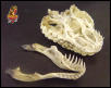 Beaded skull