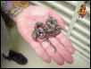 Common Boa super small