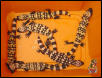 Gila Monster Juvie group